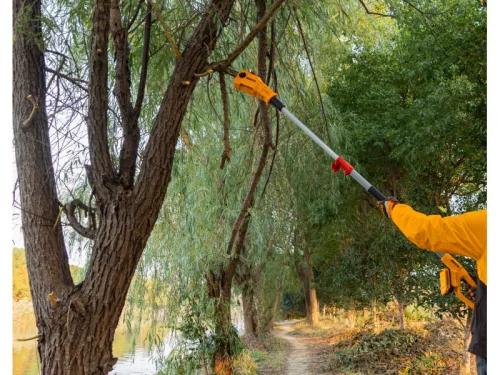 INGCO Akkus magassági ágvágó 200 mm 0-200 mm szénkefe nélküli 20 V (akku és töltő nélkül)